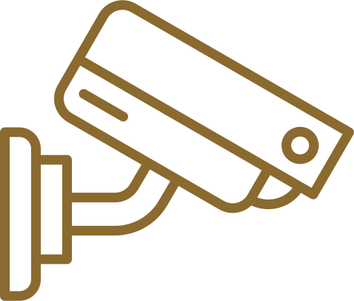 Entire Society Under CCTV Surveillance